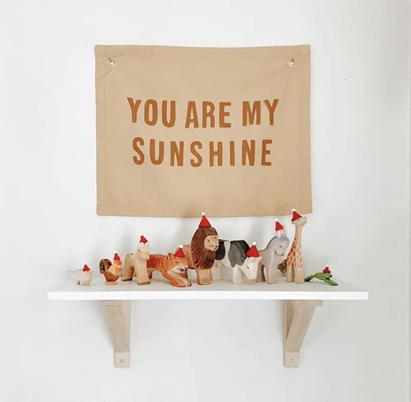 Banner Sunshine Banner
