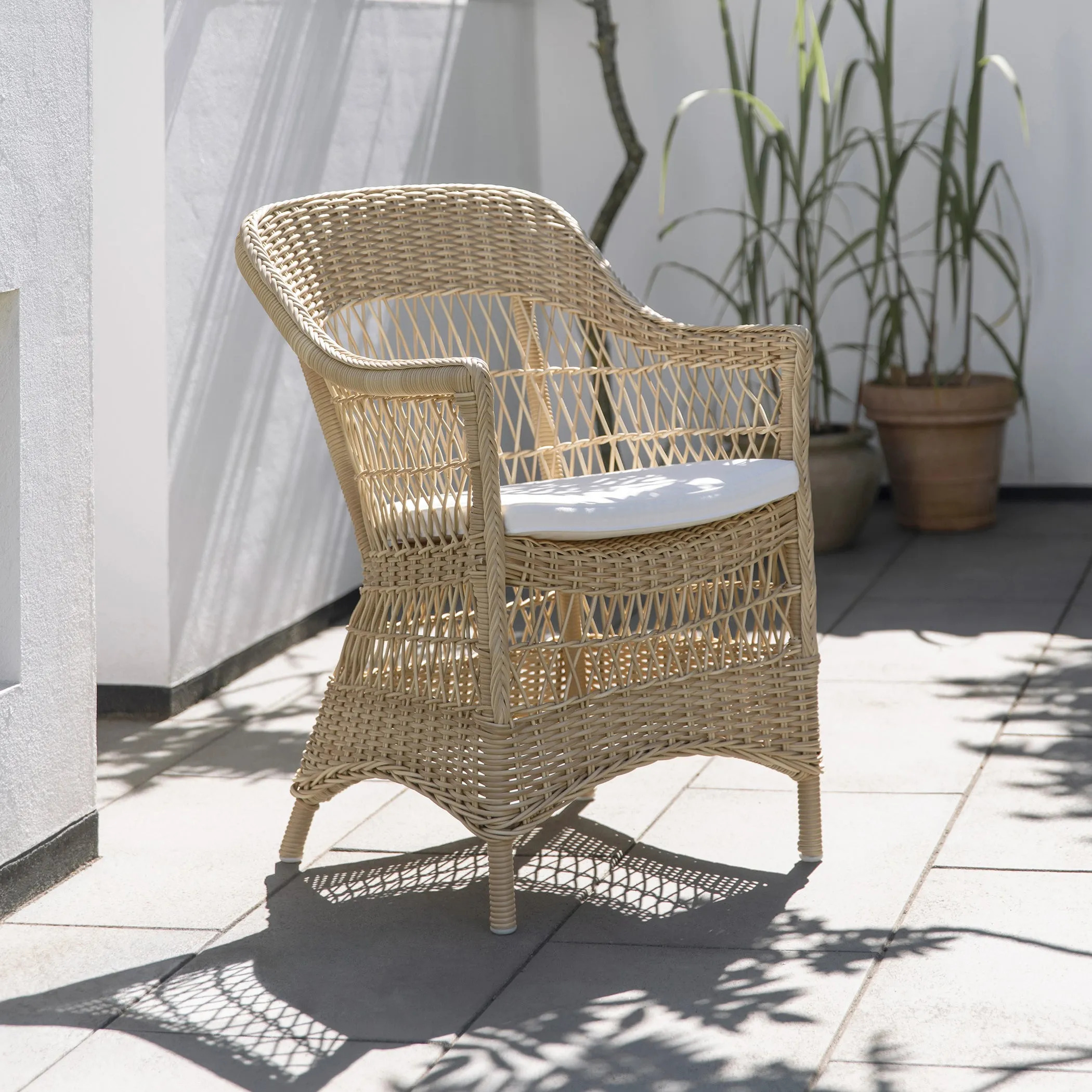 Charlot Dining Chair