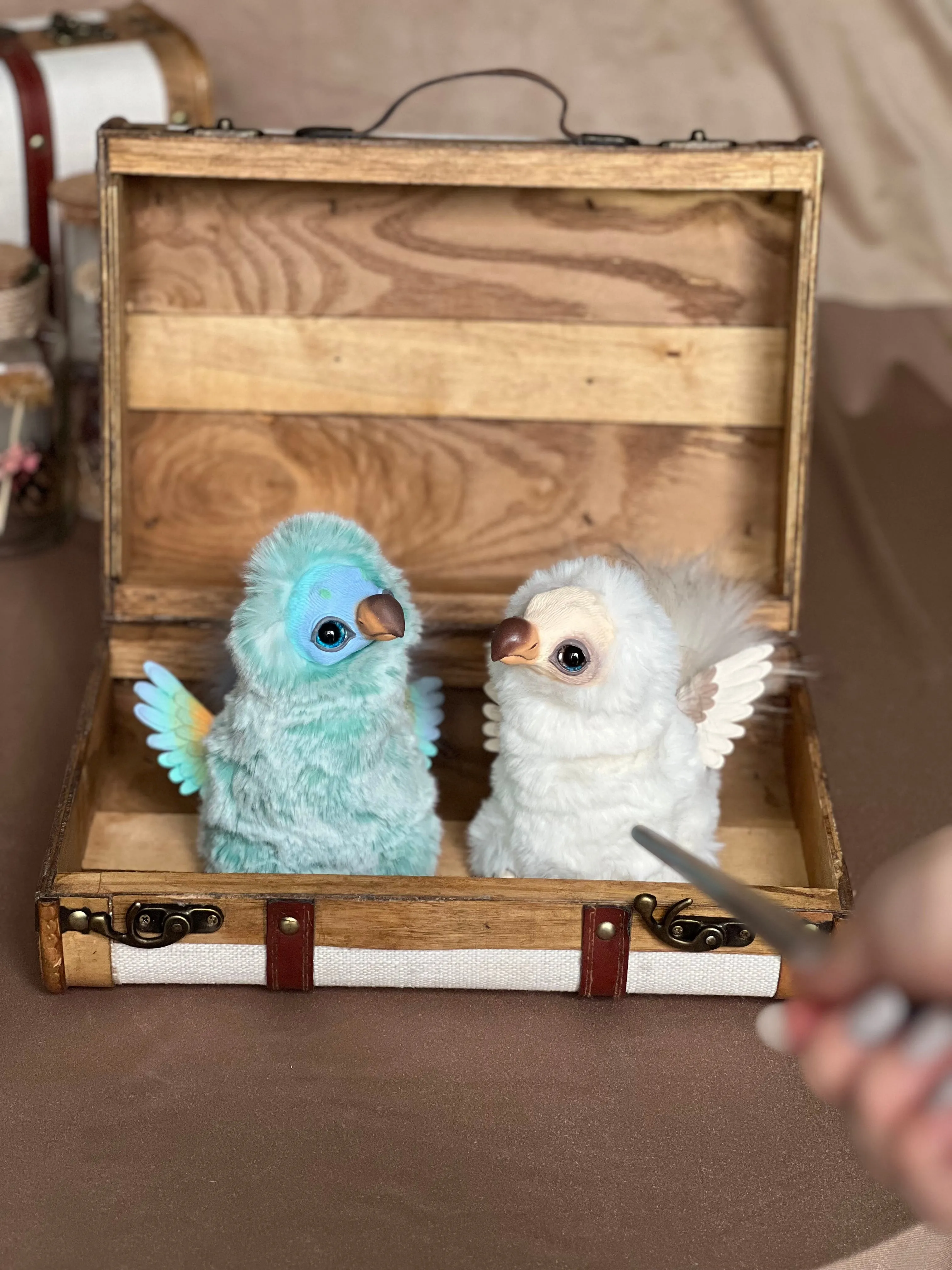 Dodo bird — mint green
