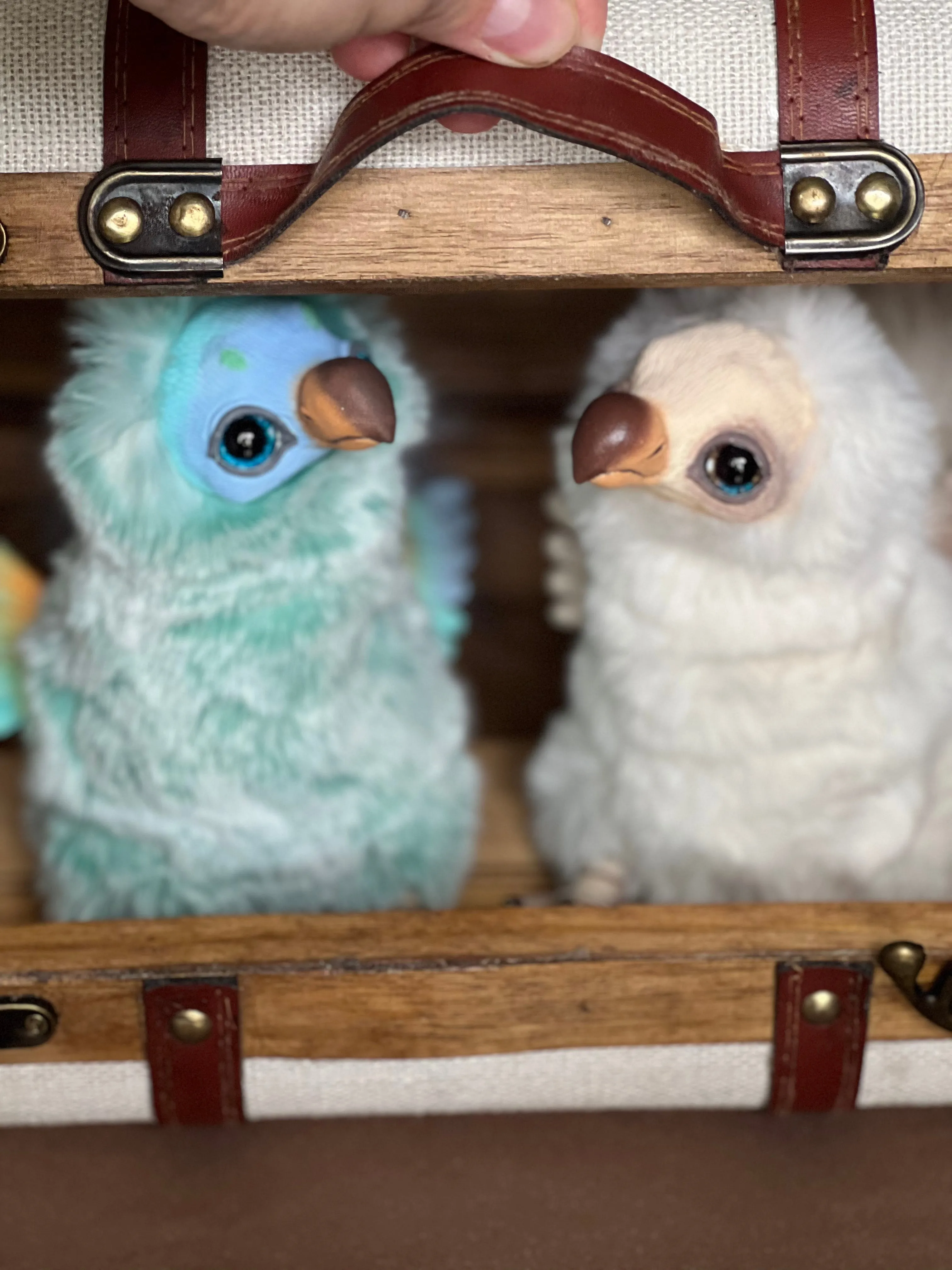 Dodo bird — mint green