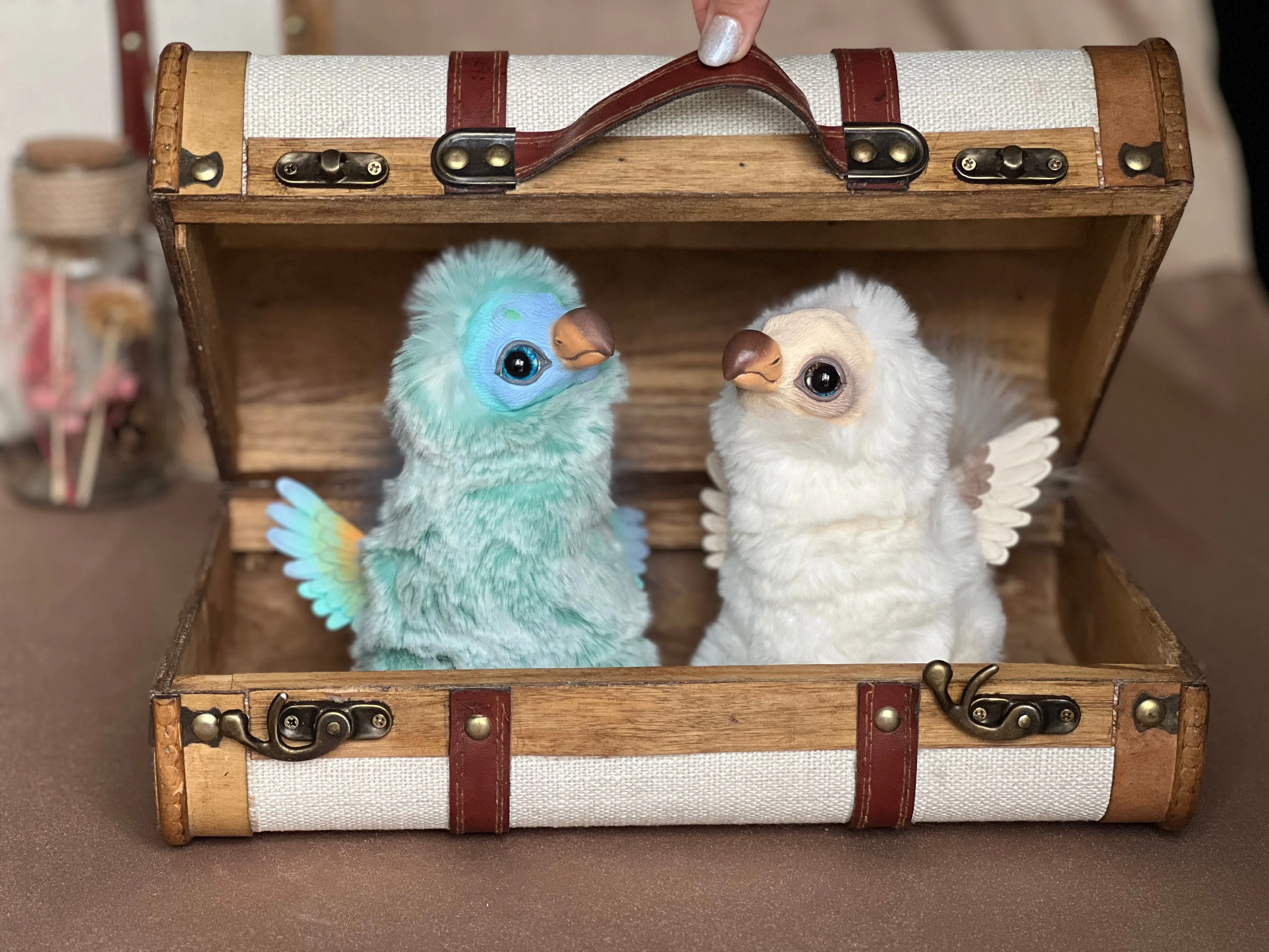 Dodo bird — mint green
