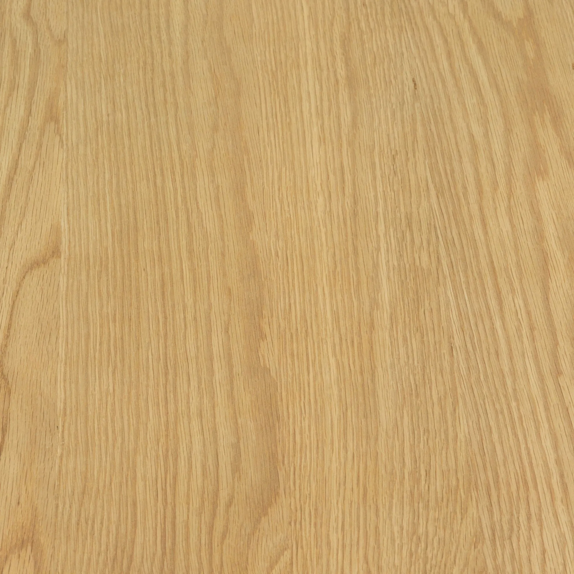 Erie Dining Chairs