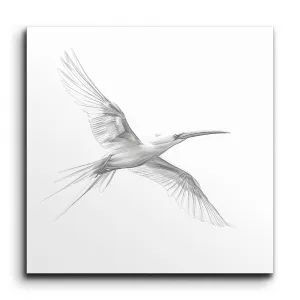 Graceful Bird in Flight: Minimalist Elegance