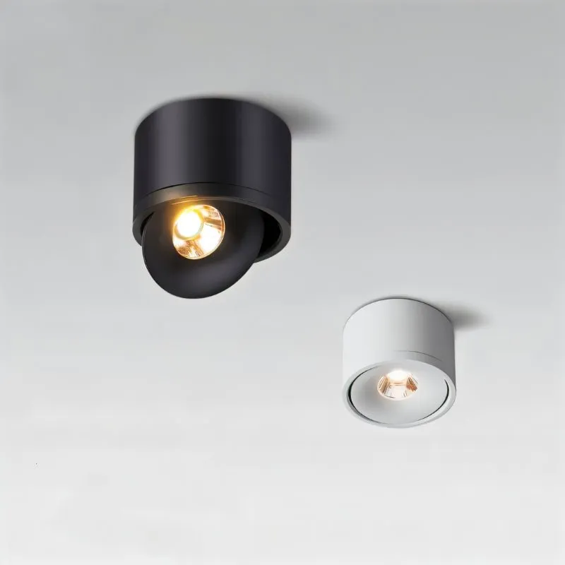 Jannis Downlight