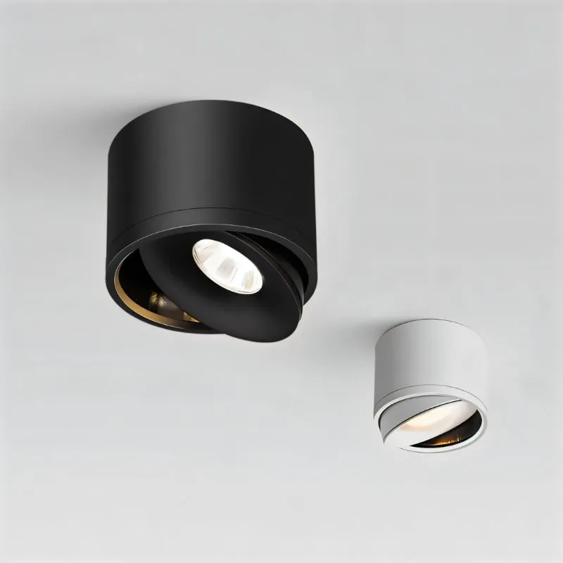 Jannis Downlight