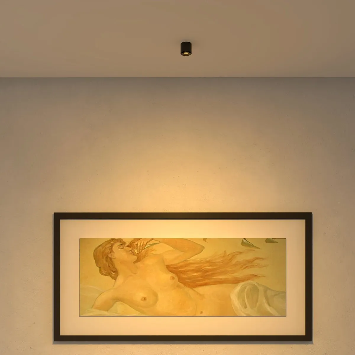 Jannis Downlight