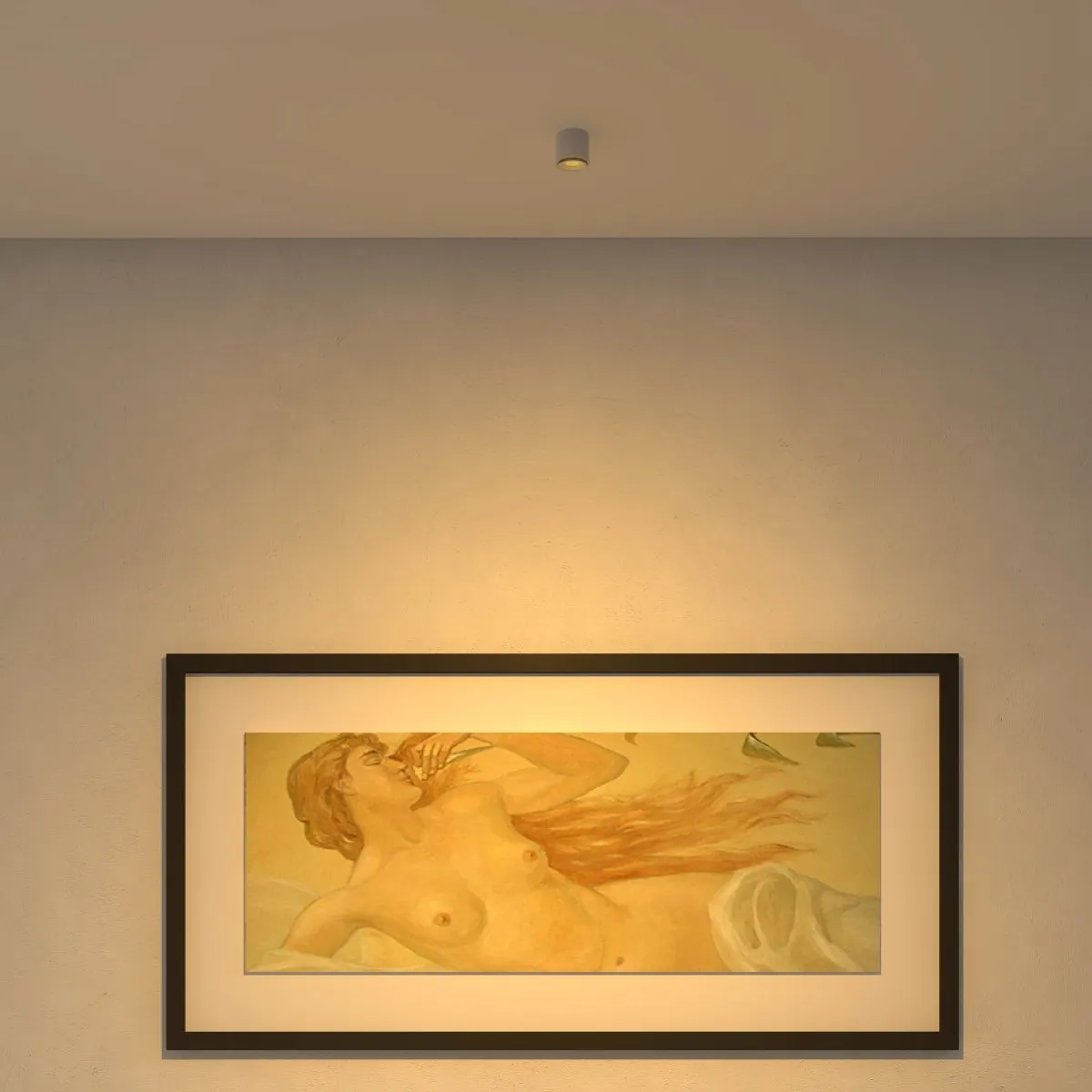 Jannis Downlight