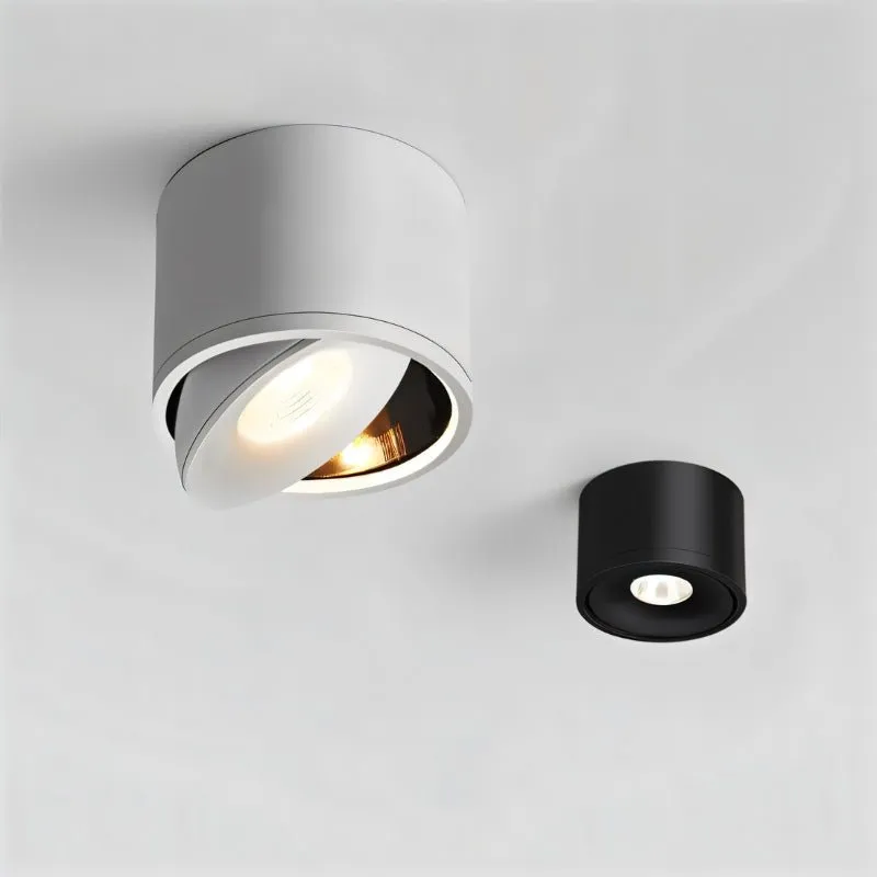 Jannis Downlight