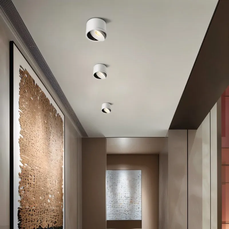 Jannis Downlight