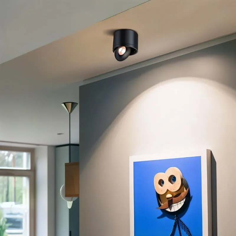 Jannis Downlight