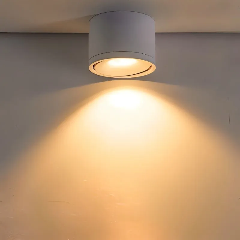 Jannis Downlight