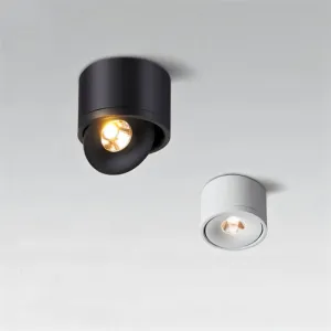 Jannis Downlight