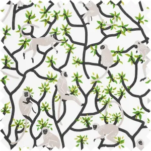 Langur Fabric