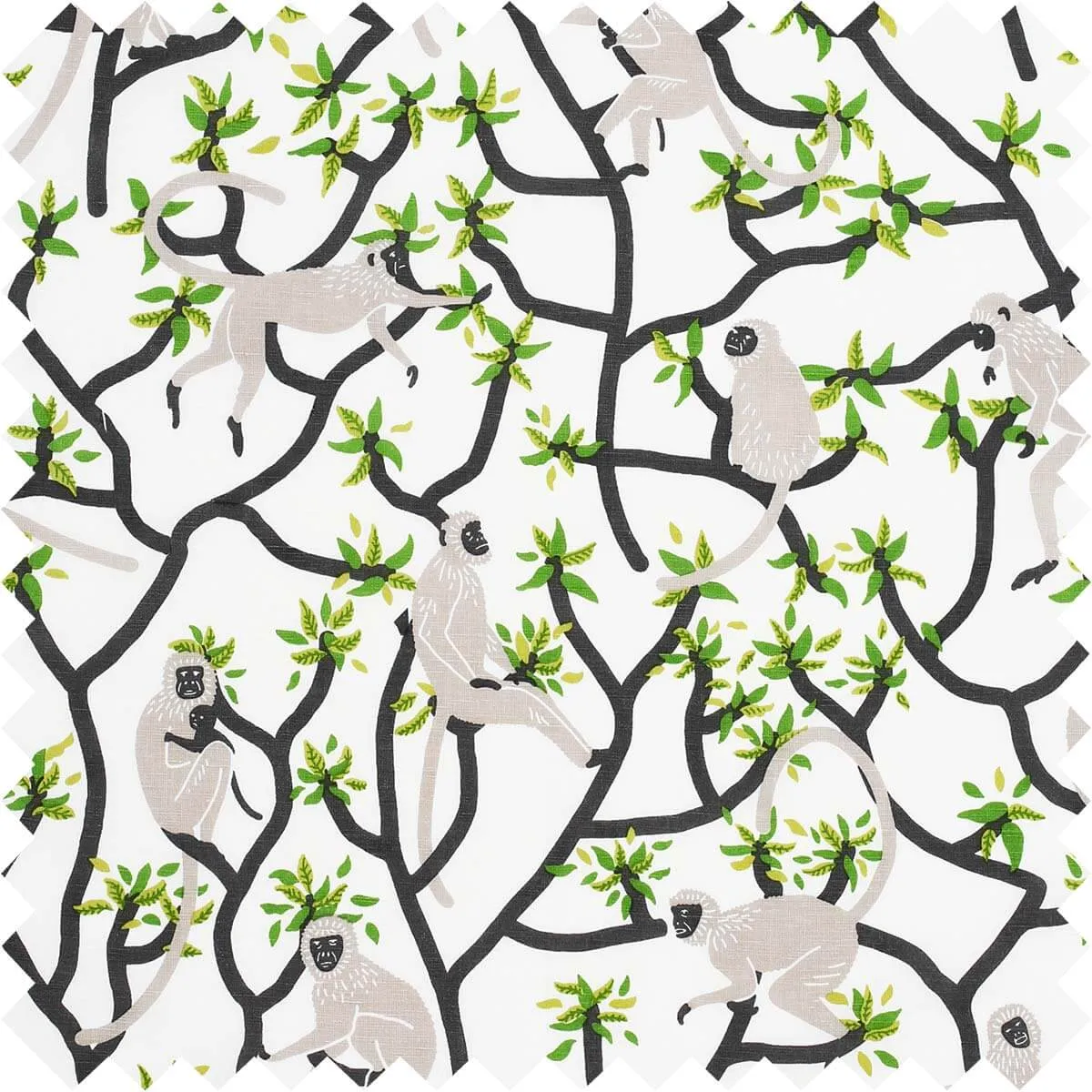 Langur Fabric
