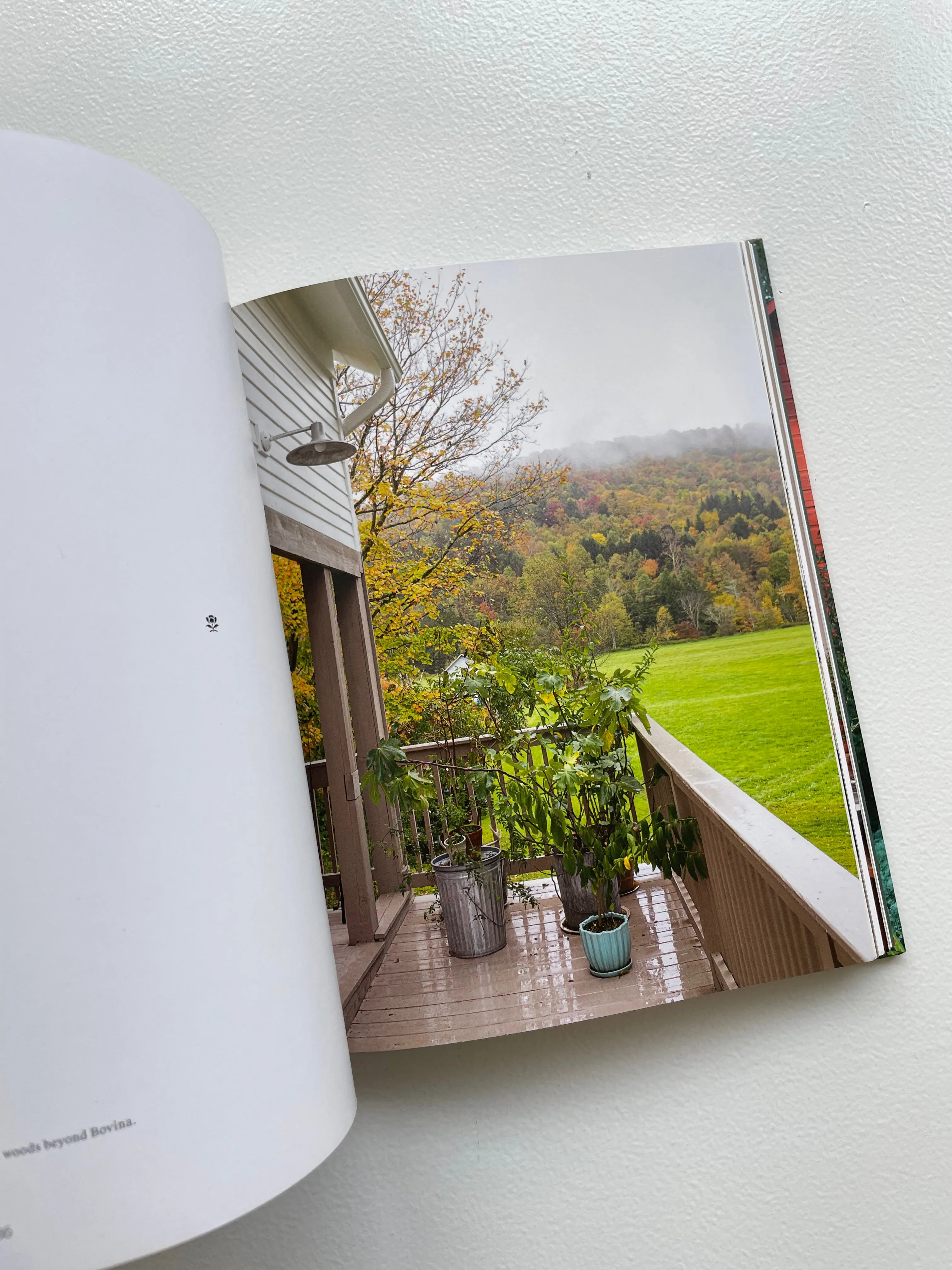 Upstate | Living Space with Space to Live