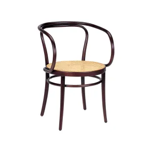 Wiener Stuhl Armchair